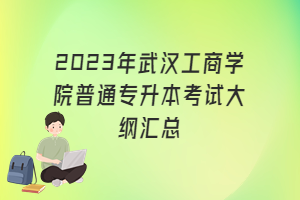 2023年武漢工商學院普通專升本考試大綱匯總