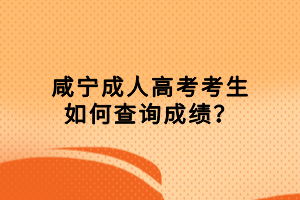 咸寧成人高考考生如何查詢成績？