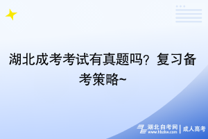 湖北成考考試有真題嗎？復(fù)習(xí)備考策略~