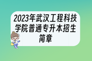 2023年武漢工程科技學(xué)院普通專升本招生簡章