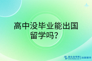 高中沒畢業(yè)能出國留學(xué)嗎？