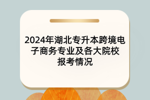 2024年湖北專升本跨境電子商務(wù)專業(yè)及各大院校報(bào)考情況