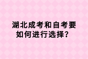 湖北成考和自考要如何進(jìn)行選擇？