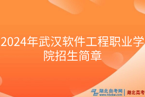 2024年武漢軟件工程職業(yè)學(xué)院招生簡(jiǎn)章