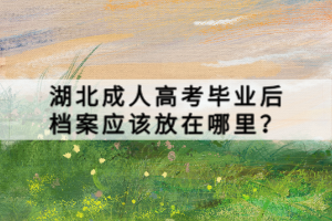 湖北成人高考畢業(yè)后檔案應(yīng)該放在哪里？