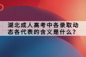 湖北成人高考中各錄取動態(tài)各代表的含義是什么？