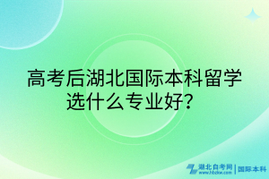 高考后湖北國(guó)際本科留學(xué)選什么專業(yè)好？