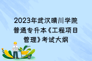 2023年武漢晴川學院普通專升本《工程項目管理》考試大綱