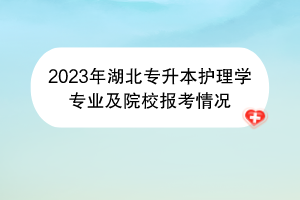 2023年湖北專(zhuān)升本護(hù)理學(xué)專(zhuān)業(yè)及院校報(bào)考情況