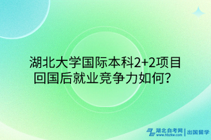 湖北大學國際本科2+2項目回國后就業(yè)競爭力如何？