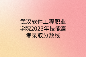 武漢軟件工程職業(yè)學院2023年技能高考錄取分數(shù)線