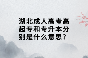 湖北成人高考高起專和專升本分別是什么意思？