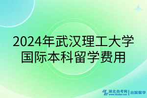 2024年武漢理工大學(xué)國際本科留學(xué)費用