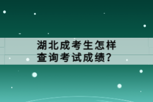 湖北成考生怎樣查詢考試成績？