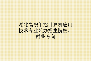 湖北高職單招計(jì)算機(jī)應(yīng)用技術(shù)專(zhuān)業(yè)公辦招生院校、就業(yè)方向