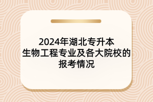 2024年湖北專升本生物工程專業(yè)及各大院校報考情況