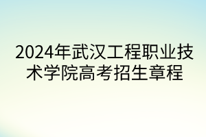 2024年武漢工程職業(yè)技術(shù)學(xué)院高考招生章程