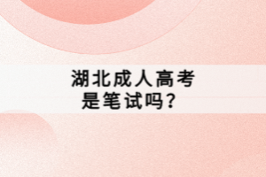 湖北成人高考是筆試嗎？