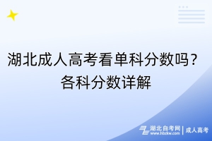 湖北成人高考看單科分數(shù)嗎？各科分數(shù)詳解