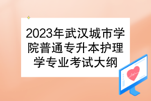 2023年武漢城市學(xué)院普通專升本護(hù)理學(xué)專業(yè)考試大綱