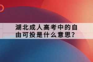 湖北成人高考中的自由可投是什么意思？