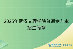 2025年武漢文理學(xué)院普通專升本招生簡(jiǎn)章