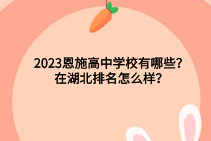 2023恩施高中學(xué)校有哪些？在湖北排名怎么樣？