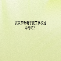 武漢東新電子技工學(xué)校是中專嗎？