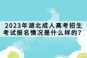 2023年湖北成人高考招生考試報(bào)名情況是什么樣的？