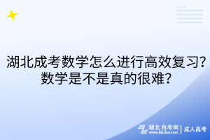 湖北成考數(shù)學怎么進行高效復習？數(shù)學是不是真的很難？