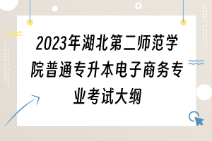 2023年湖北第二師范學(xué)院普通專升本電子商務(wù)專業(yè)考試大綱