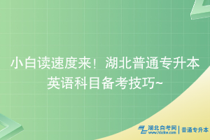 小白讀速來！湖北普通專升本英語科目備考技巧~