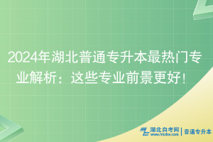 2024年湖北普通專升本最熱門專業(yè)解析：這些專業(yè)前景更好！