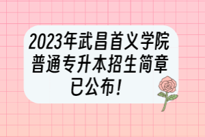 2023年武昌首義學(xué)院普通專升本招生簡章已公布！