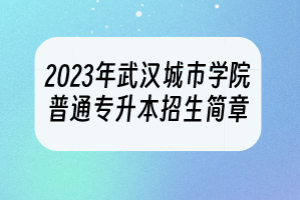 2023年武漢城市學(xué)院普通專升本招生簡章