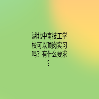 湖北中南技工學(xué)?？梢皂攳弻?shí)習(xí)嗎？有什么要求？
