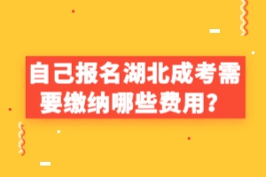 自己報名湖北成考需要繳納哪些費用？