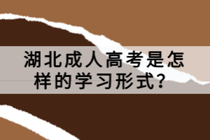 湖北成人高考是怎樣的學(xué)習(xí)形式？