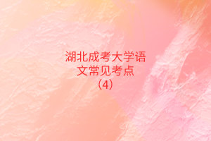 湖北成考大學(xué)語文常見考點(diǎn)（4）