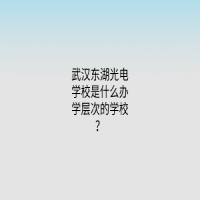 武漢東湖光電學(xué)校是什么辦學(xué)層次的學(xué)校？
