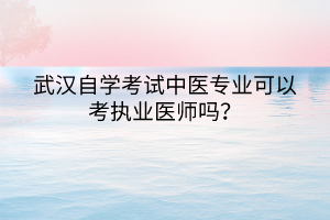 武漢自學(xué)考試中醫(yī)專業(yè)可以考執(zhí)業(yè)醫(yī)師嗎？