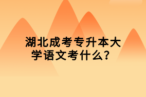 湖北成考專(zhuān)升本大學(xué)語(yǔ)文考什么？