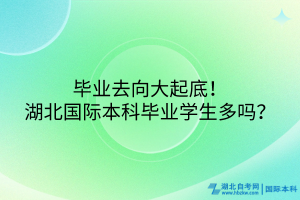 畢業(yè)去向大起底！湖北國際本科畢業(yè)學(xué)生多嗎？