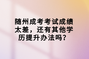 隨州成考考試成績太差，還有其他學歷提升辦法嗎？