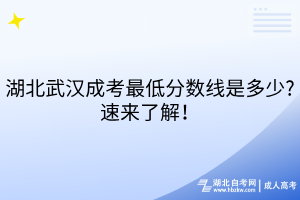 湖北武漢成考最低分?jǐn)?shù)線(xiàn)是多少?速來(lái)了解！