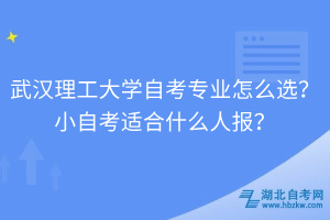 武漢理工大學自考專業(yè)怎么選？小自考適合什么人報？