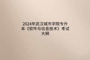 2024年武漢城市學(xué)院專升本《軟件與信息技術(shù)》考試大綱