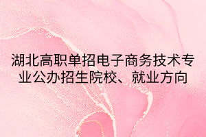 湖北高職單招電子商務(wù)技術(shù)專(zhuān)業(yè)公辦招生院校、就業(yè)方向