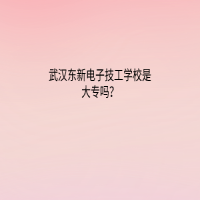 武漢東新電子技工學(xué)校是大專嗎？