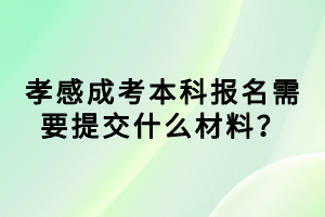 孝感成考本科報名需要提交什么材料？